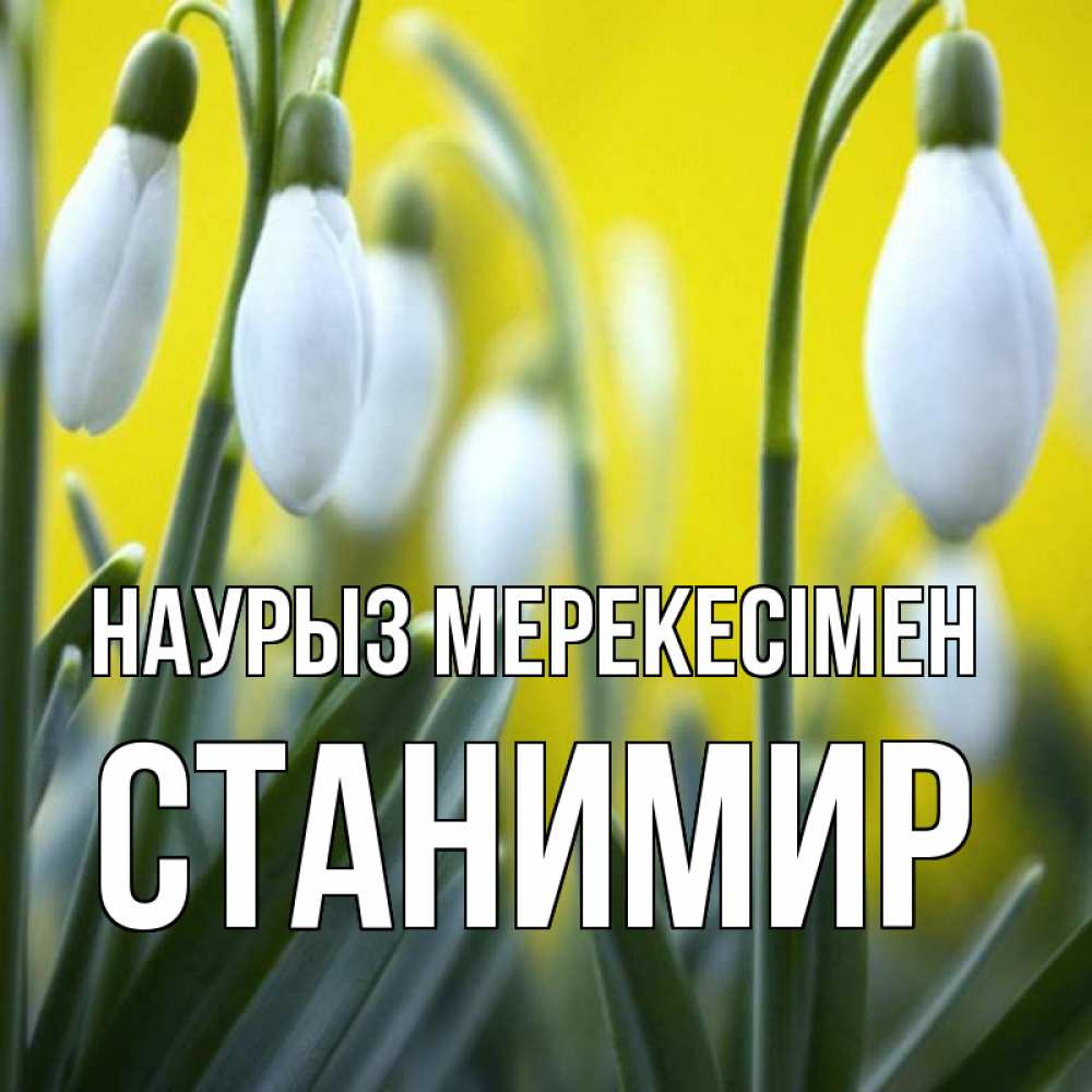 Күн сайын ашық хат с именем, Станимир Наурыз мерекесімен весенние цветы Онлайн тегін жүктеп алу тілектері бар керемет карта 