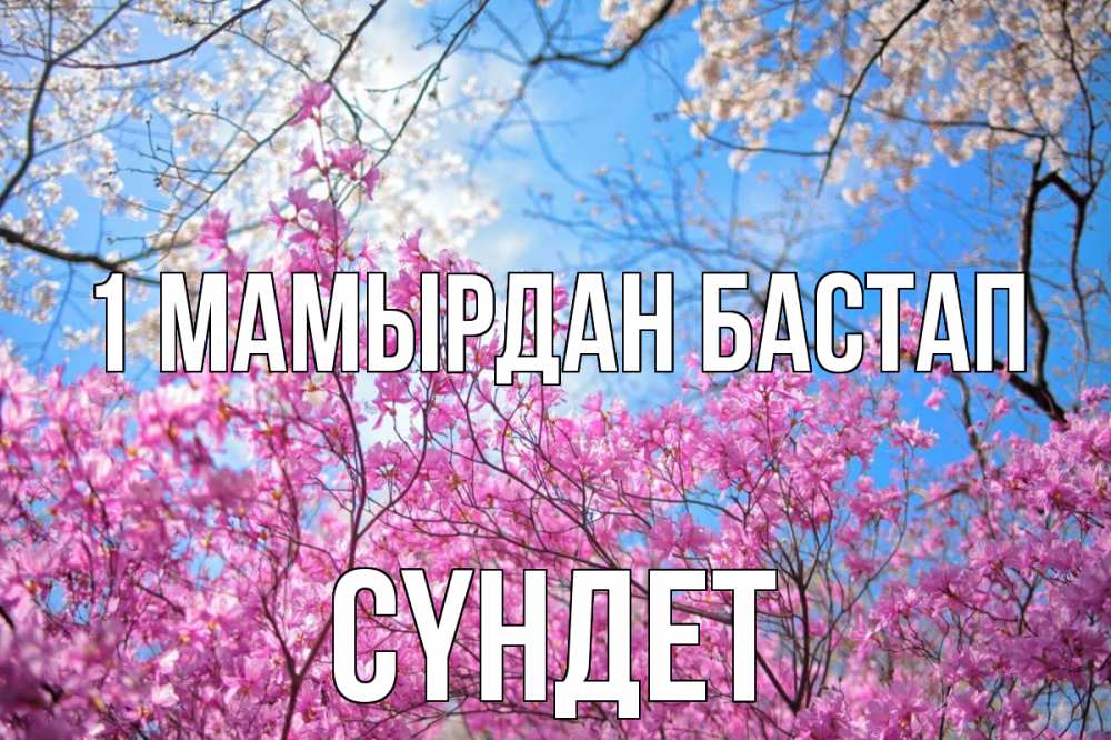 Күн сайын ашық хат с именем, СҮНДЕТ 1 мамырдан бастап С 1 мая Онлайн тегін жүктеп алу тілектері бар керемет карта 