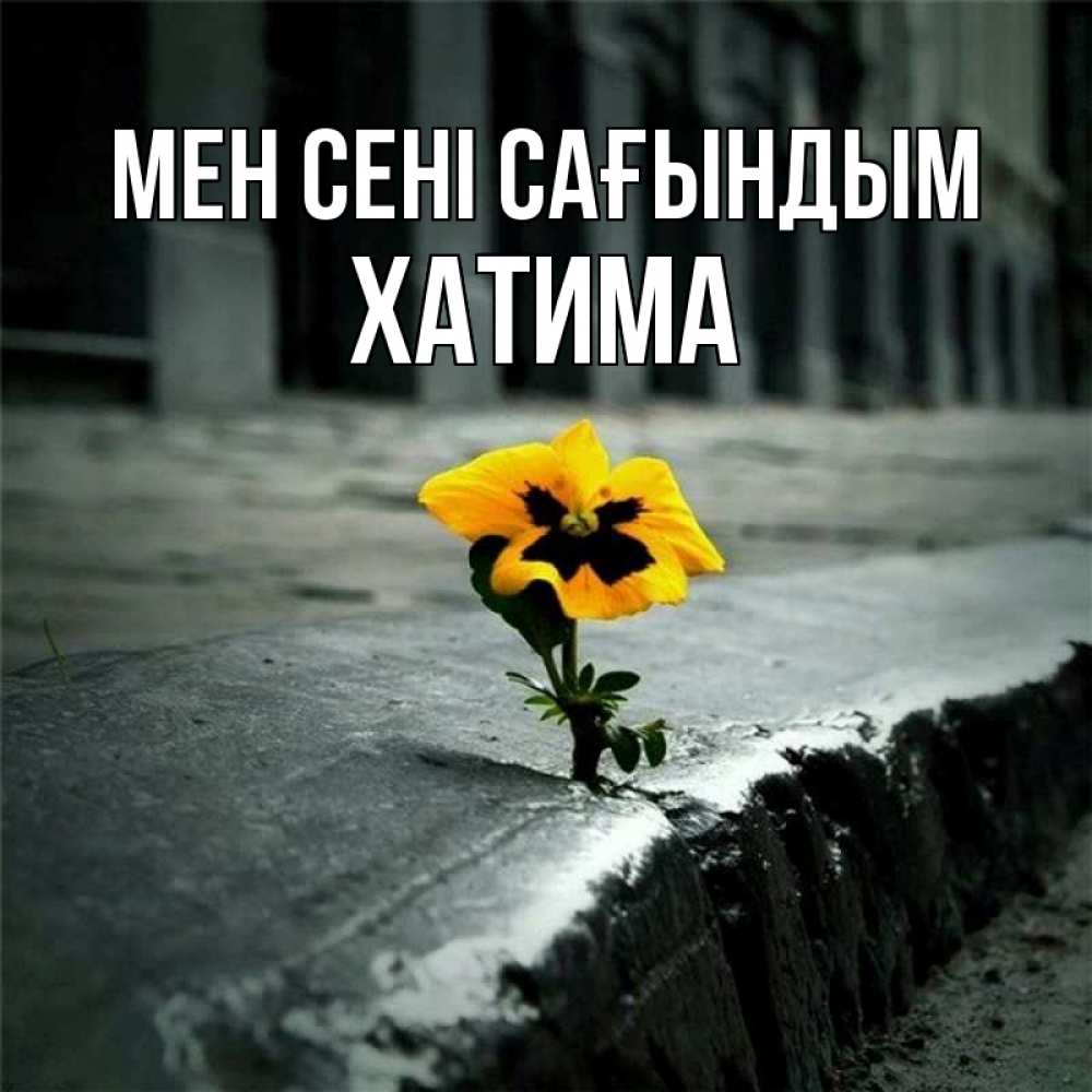 Күн сайын ашық хат с именем, ХАТИМА Мен сені сағындым надеюсь будет лучше Онлайн тегін жүктеп алу тілектері бар керемет карта 