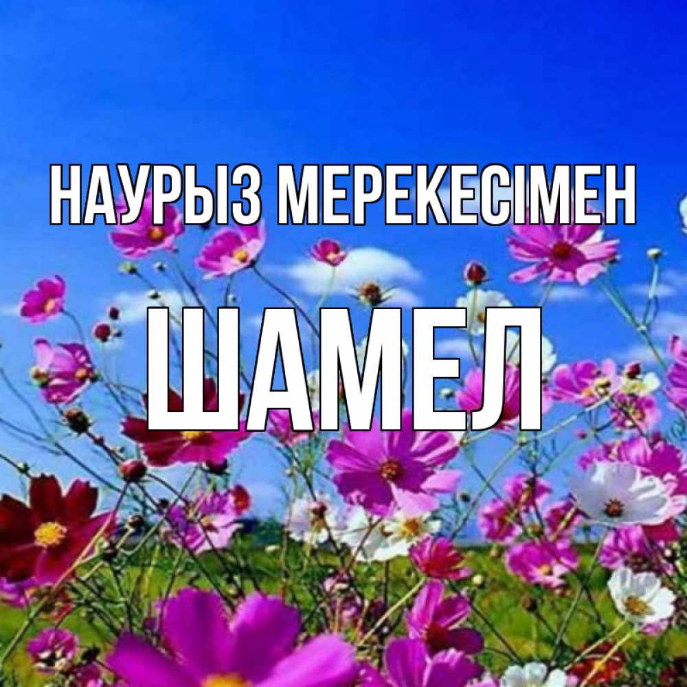 Күн сайын ашық хат с именем, ШАМЕЛ Наурыз мерекесімен цветы Онлайн тегін жүктеп алу тілектері бар керемет карта 