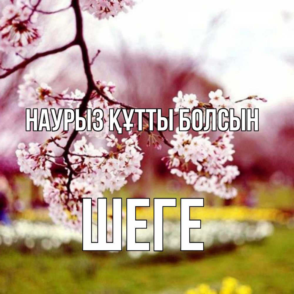 Күн сайын ашық хат с именем, ШЕГЕ Наурыз құтты болсын яблоня Онлайн тегін жүктеп алу тілектері бар керемет карта 
