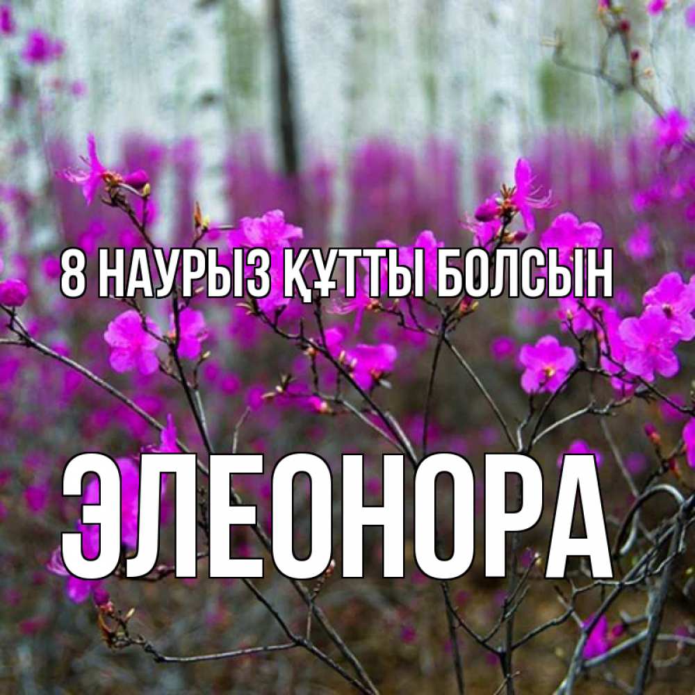 Күн сайын ашық хат с именем, Элеонора 8 наурыз құтты болсын дикие цветы Онлайн тегін жүктеп алу тілектері бар керемет карта 