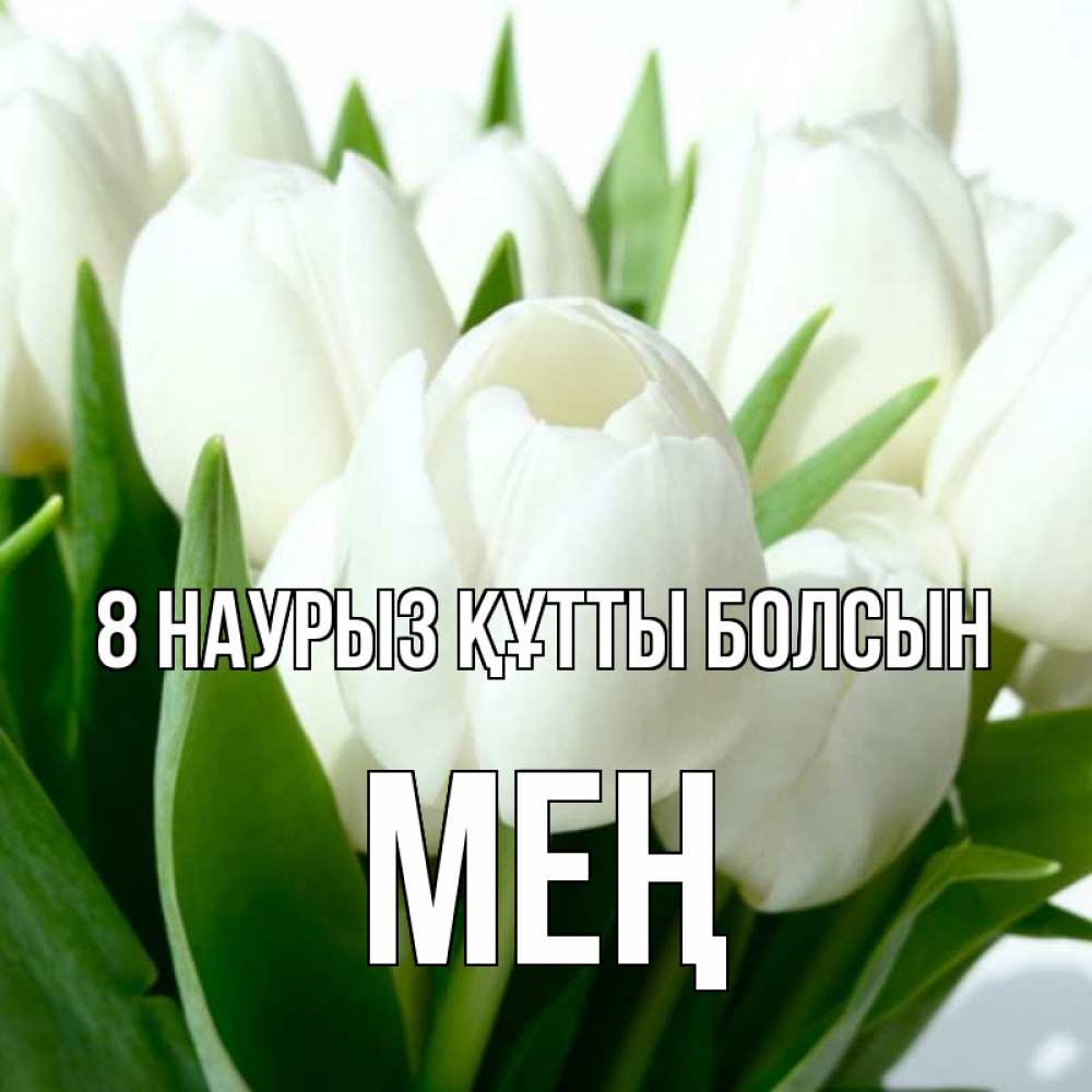 Күн сайын ашық хат с именем, МЕҢ 8 наурыз құтты болсын цветы Онлайн тегін жүктеп алу тілектері бар керемет карта 