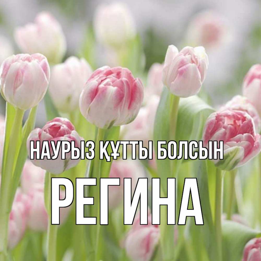 Күн сайын ашық хат с именем, Регина Наурыз құтты болсын цветы Онлайн тегін жүктеп алу тілектері бар керемет карта 