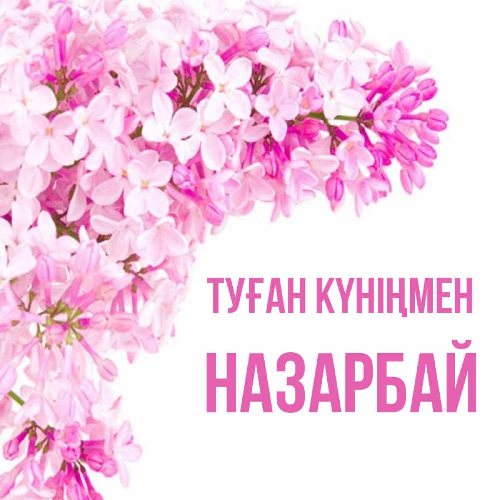 Күн сайын ашық хат с именем, НАЗАРБАЙ Туған күніңмен Сирень на белом фоне Онлайн тегін жүктеп алу тілектері бар керемет карта 