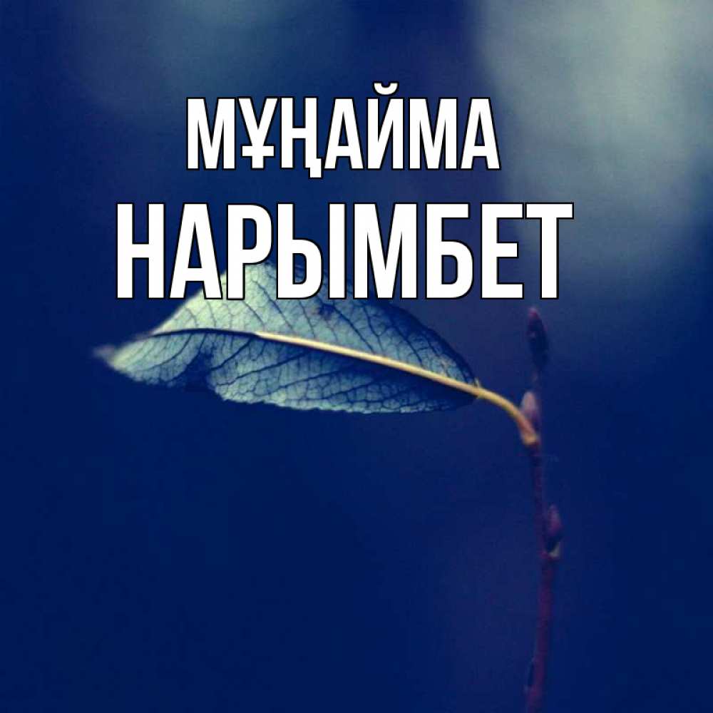Күн сайын ашық хат с именем, Нарымбет Мұңайма растение Онлайн тегін жүктеп алу тілектері бар керемет карта 