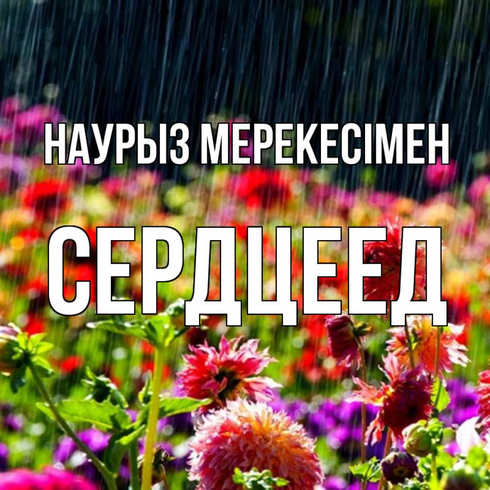 Күн сайын ашық хат с именем, Сердцеед Наурыз мерекесімен цветы под дождиком к международному женскому дню Онлайн тегін жүктеп алу тілектері бар керемет карта 