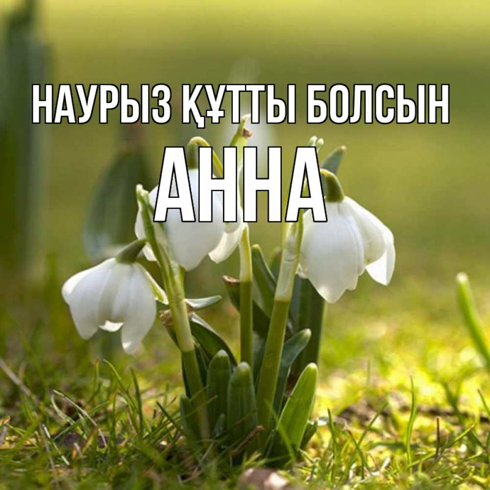 Күн сайын ашық хат с именем, Анна Наурыз құтты болсын ранние цветы 2 Онлайн тегін жүктеп алу тілектері бар керемет карта 