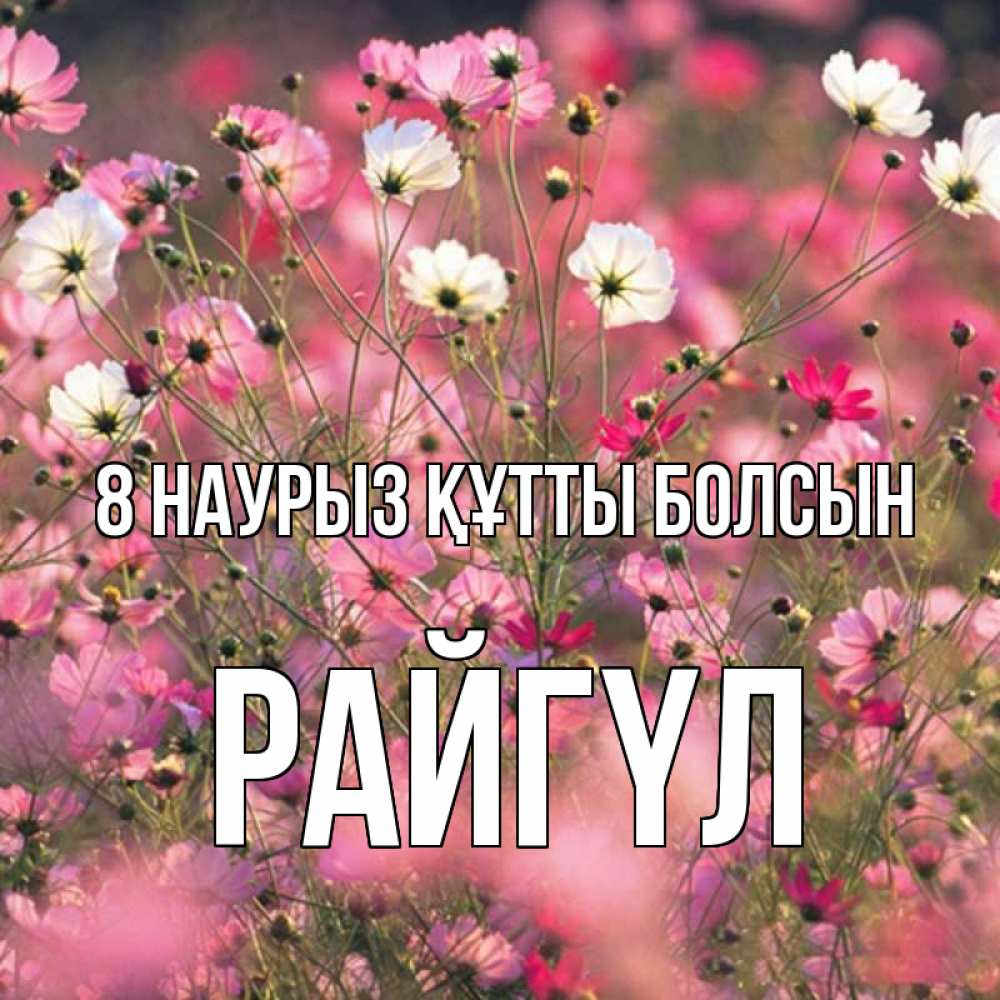 Күн сайын ашық хат с именем, РАЙГҮЛ 8 наурыз құтты болсын красиво 1 Онлайн тегін жүктеп алу тілектері бар керемет карта 