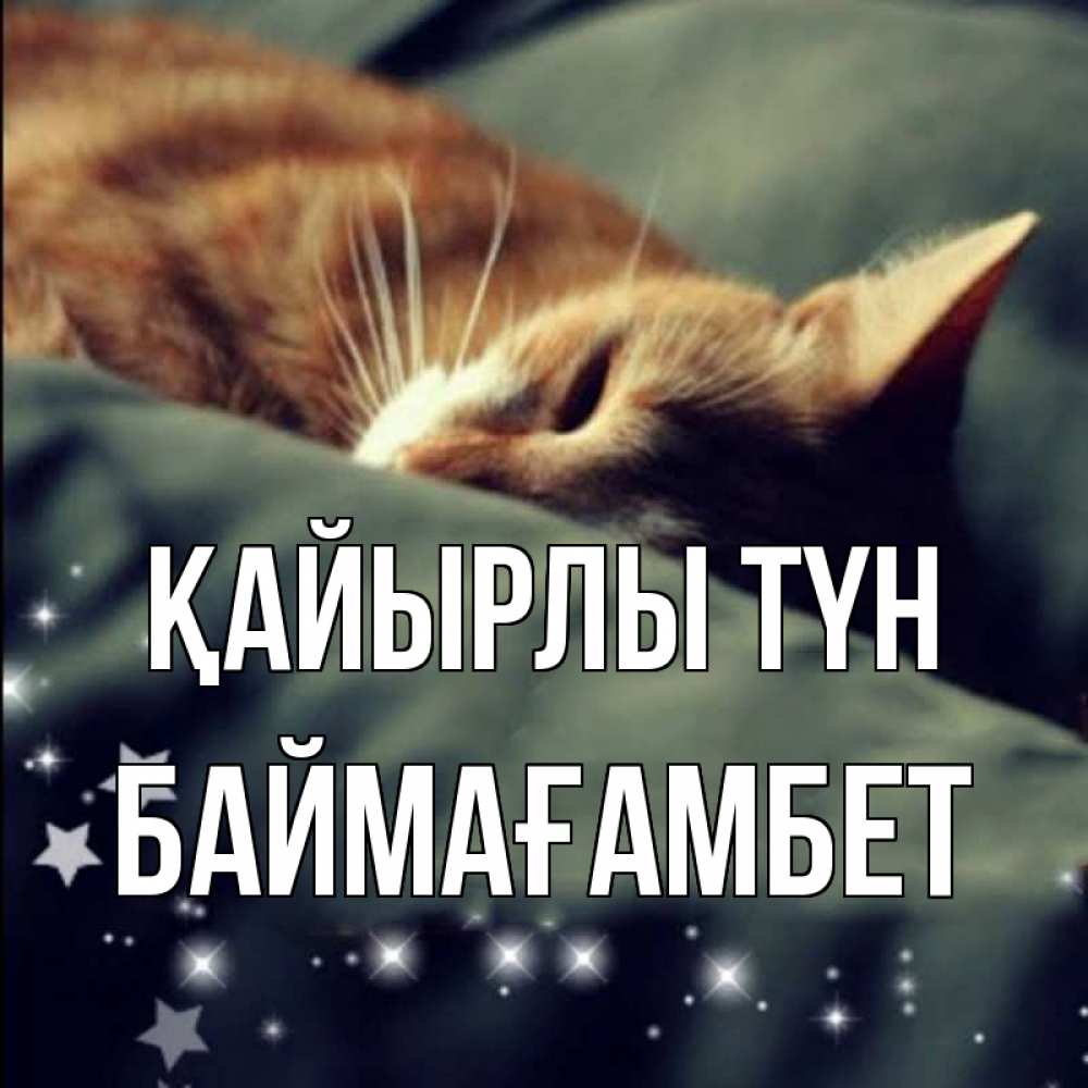 Күн сайын ашық хат с именем, Баймағамбет Қайырлы түн кроватка Онлайн тегін жүктеп алу тілектері бар керемет карта 