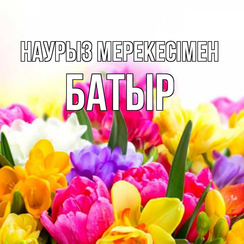 Күн сайын ашық хат с именем, Батыр Наурыз мерекесімен тюльпаны Онлайн тегін жүктеп алу тілектері бар керемет карта 