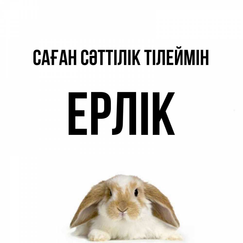 Күн сайын ашық хат с именем, Ерлік Саған сәттілік тілеймін открытки с произвольным текстом который можно вставить в открытку и создать ее самостоятельно бесплатно онлайн Онлайн тегін жүктеп алу тілектері бар керемет карта 