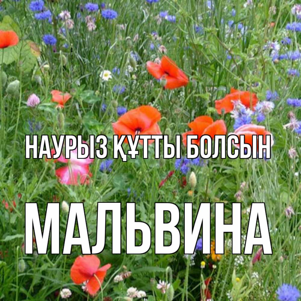 Күн сайын ашық хат с именем, Мальвина Наурыз құтты болсын наурыз  4 Онлайн тегін жүктеп алу тілектері бар керемет карта 