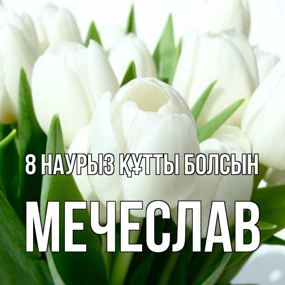Күн сайын ашық хат с именем, Мечеслав 8 наурыз құтты болсын цветы Онлайн тегін жүктеп алу тілектері бар керемет карта 