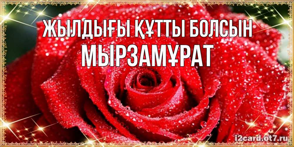 Күн сайын ашық хат с именем, Мырзамұрат Жылдығы құтты болсын роса и роза. открытка с красивой розой Онлайн тегін жүктеп алу тілектері бар керемет карта 