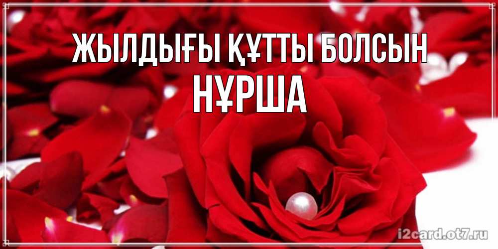 Күн сайын ашық хат с именем, НҰРША Жылдығы құтты болсын роза с жемчужиной на открытке для любимых Онлайн тегін жүктеп алу тілектері бар керемет карта 