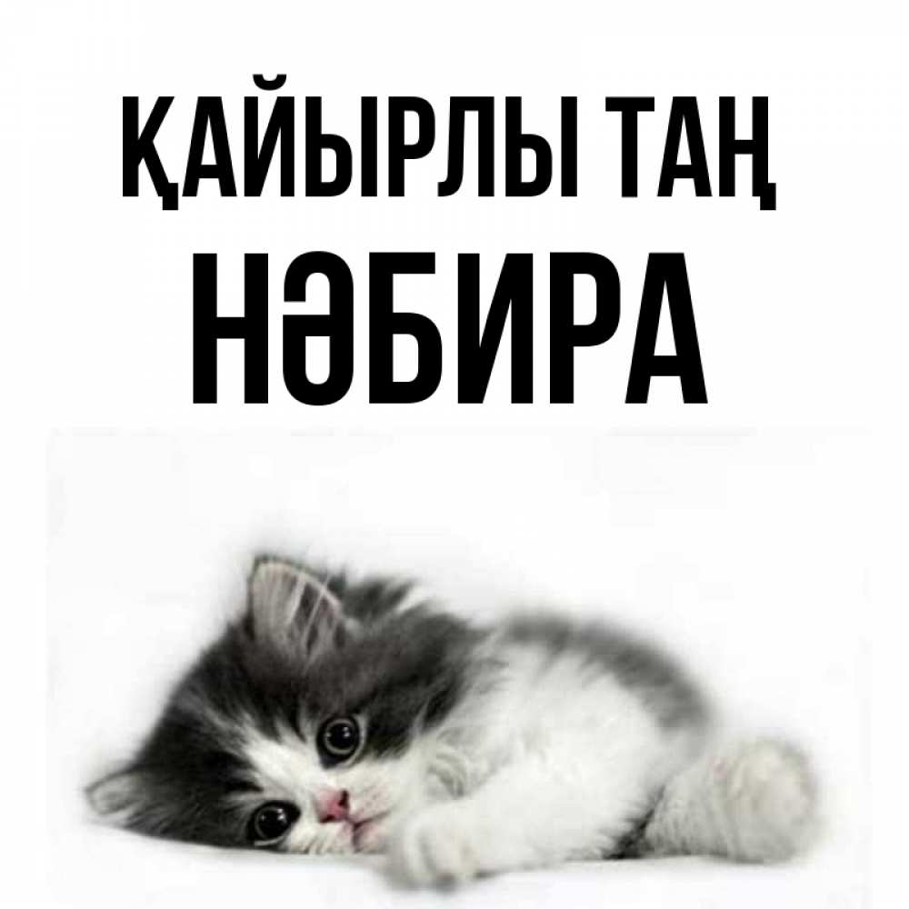 Күн сайын ашық хат с именем, НӘБИРА Қайырлы таң кот лапки Онлайн тегін жүктеп алу тілектері бар керемет карта 