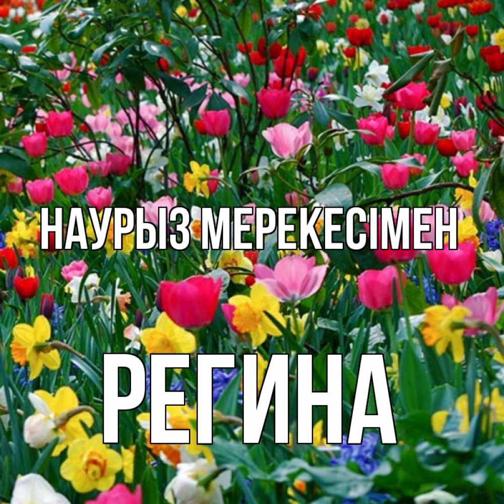Күн сайын ашық хат с именем, Регина Наурыз мерекесімен с наурызом праздником весны поздравления для женщины Онлайн тегін жүктеп алу тілектері бар керемет карта 