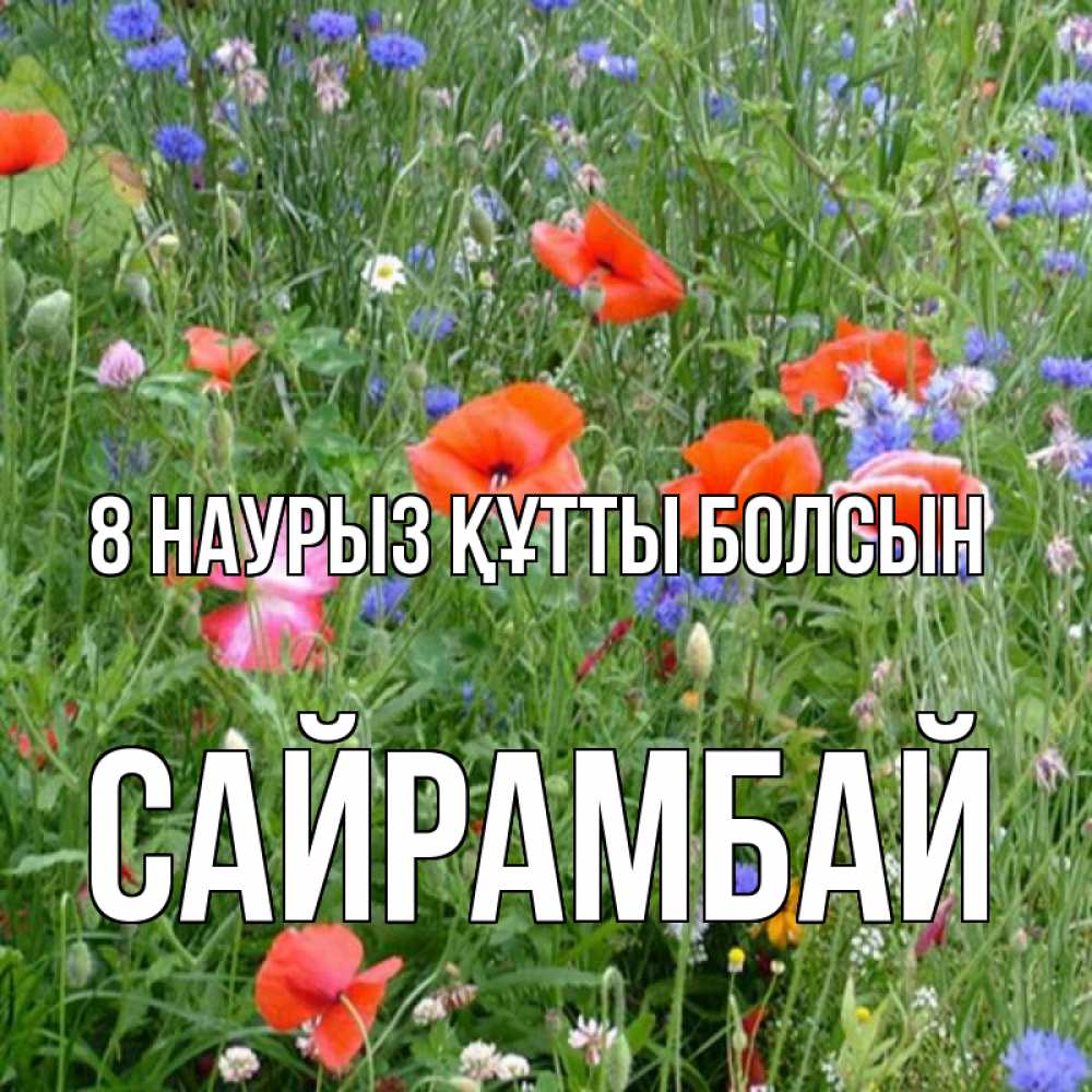 Күн сайын ашық хат с именем, САЙРАМБАЙ 8 наурыз құтты болсын международный женский день 4 Онлайн тегін жүктеп алу тілектері бар керемет карта 