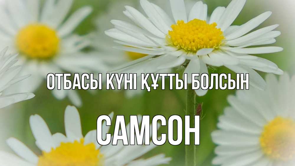 Күн сайын ашық хат с именем, Самсон отбасы күні құтты болсын с днем семьи  1 Онлайн тегін жүктеп алу тілектері бар керемет карта 