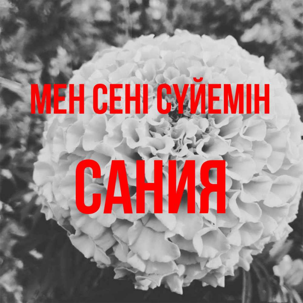 Күн сайын ашық хат с именем, Сания Мен сені сүйемін подпись Онлайн тегін жүктеп алу тілектері бар керемет карта 