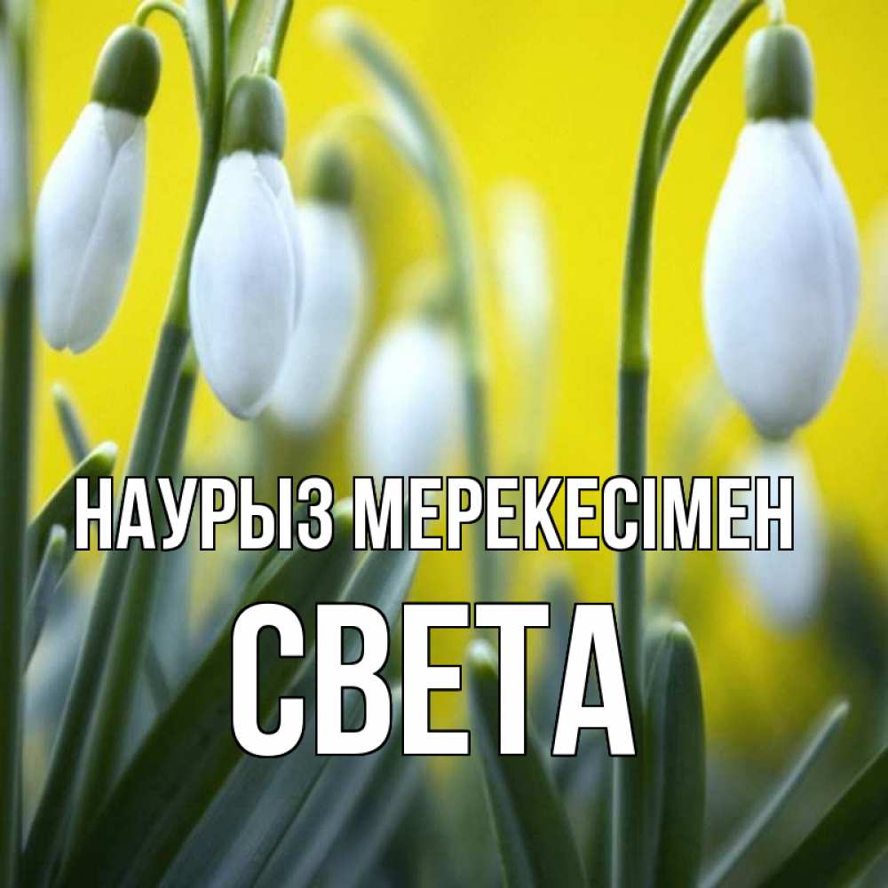 Күн сайын ашық хат с именем, Света Наурыз мерекесімен весенние цветы Онлайн тегін жүктеп алу тілектері бар керемет карта 