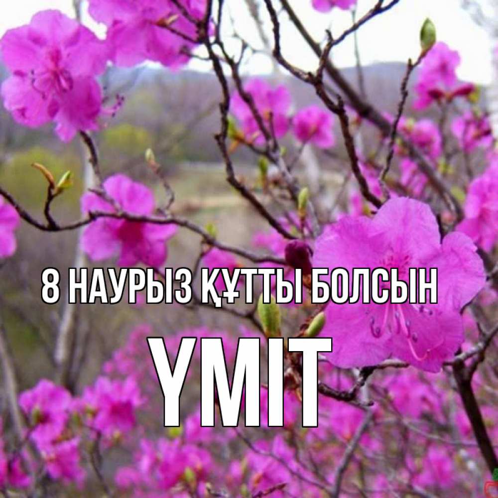 Күн сайын ашық хат с именем, ҮМІТ 8 наурыз құтты болсын международный женский день Онлайн тегін жүктеп алу тілектері бар керемет карта 