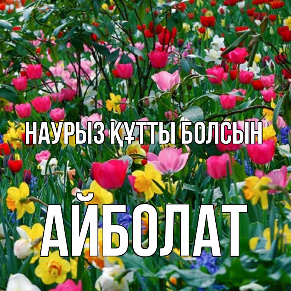 Күн сайын ашық хат с именем, Айболат Наурыз құтты болсын с наурызом поздравления для женщины Онлайн тегін жүктеп алу тілектері бар керемет карта 