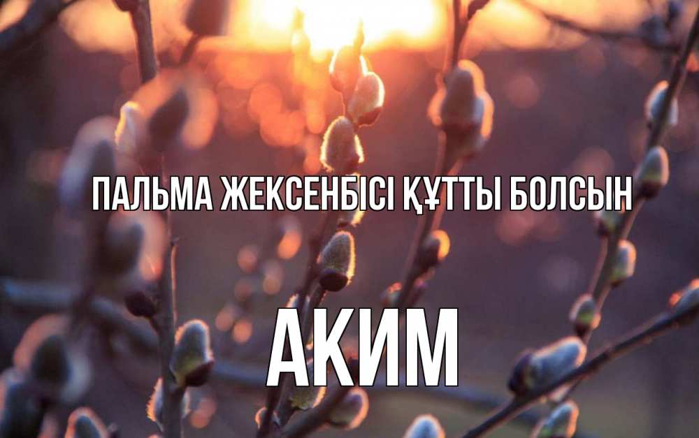 Күн сайын ашық хат с именем, Аким Пальма жексенбісі құтты болсын верба Онлайн тегін жүктеп алу тілектері бар керемет карта 