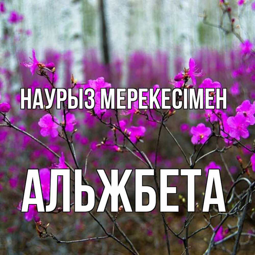 Күн сайын ашық хат с именем, Альжбета Наурыз мерекесімен дикие цветы Онлайн тегін жүктеп алу тілектері бар керемет карта 