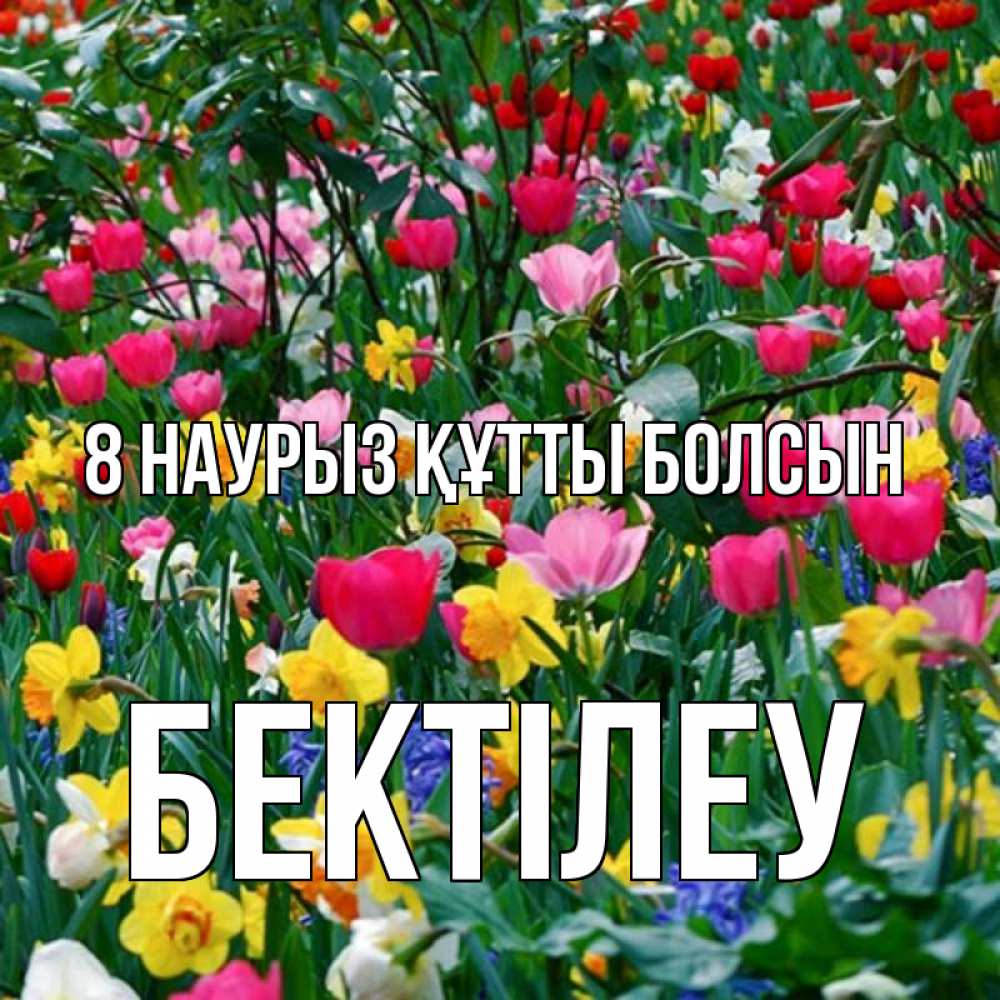 Күн сайын ашық хат с именем, Бектілеу 8 наурыз құтты болсын с международным женским днем поздравления для женщины Онлайн тегін жүктеп алу тілектері бар керемет карта 