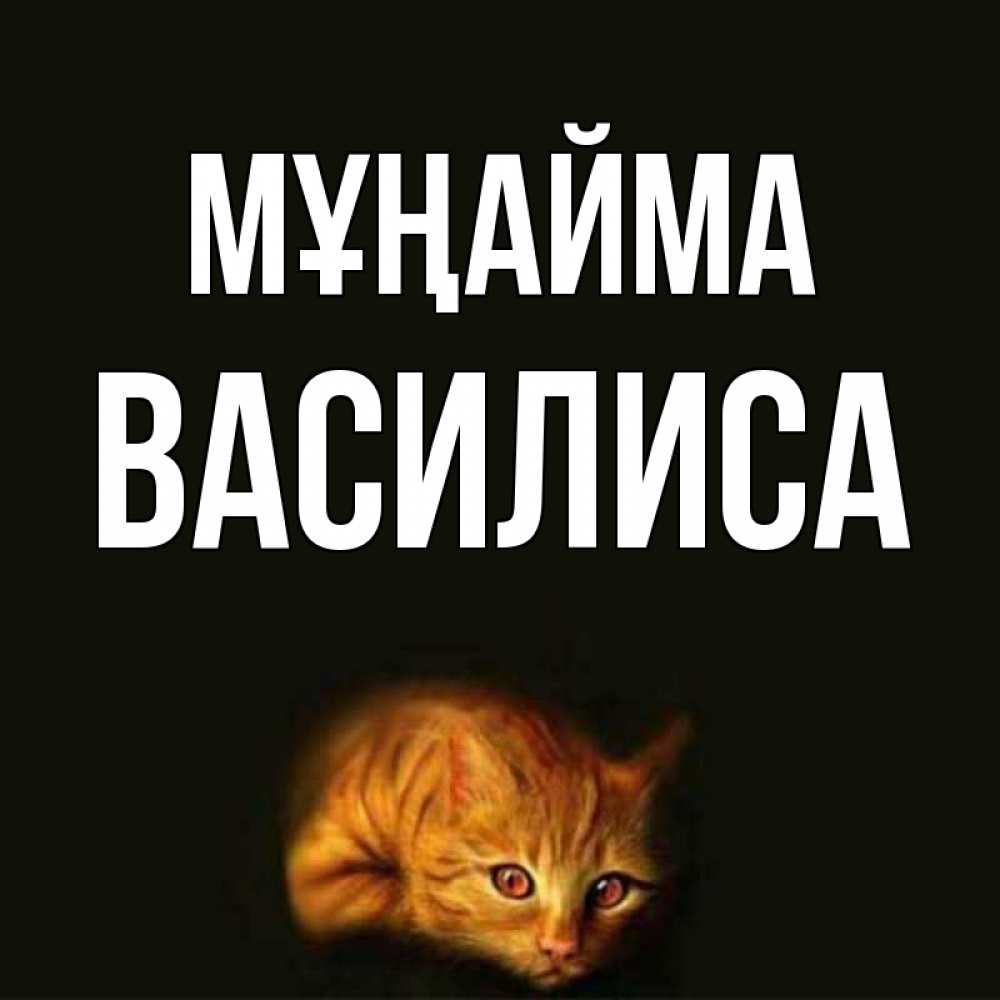 Күн сайын ашық хат с именем, Василиса Мұңайма лежащий кот в темноте Онлайн тегін жүктеп алу тілектері бар керемет карта 