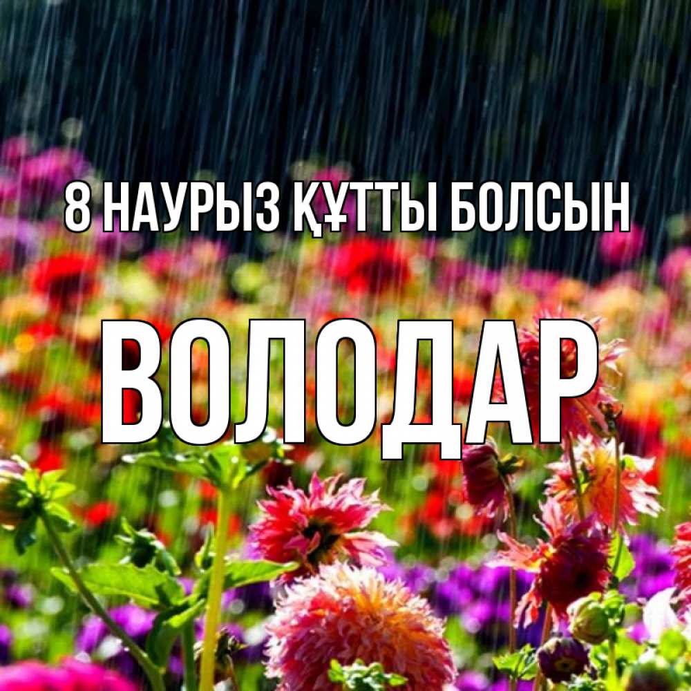 Күн сайын ашық хат с именем, Володар 8 наурыз құтты болсын цветы под дождиком к международному женскому дню Онлайн тегін жүктеп алу тілектері бар керемет карта 