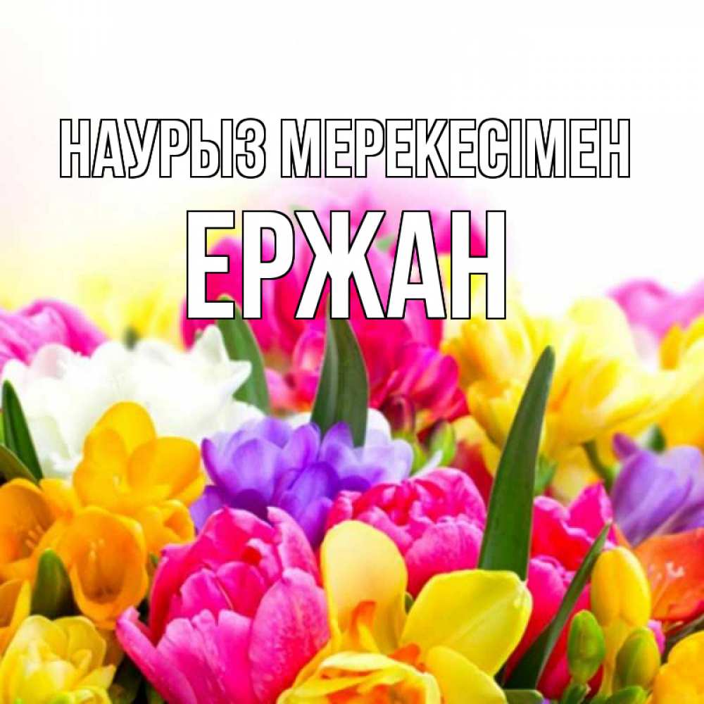 Күн сайын ашық хат с именем, Ержан Наурыз мерекесімен тюльпаны Онлайн тегін жүктеп алу тілектері бар керемет карта 