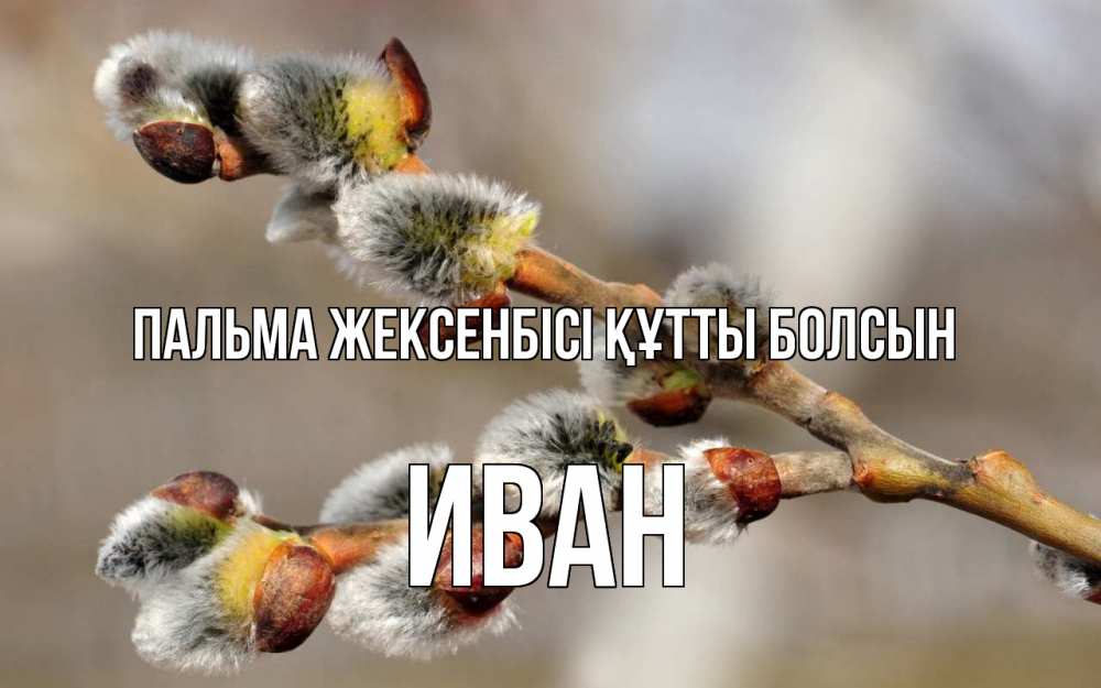 Күн сайын ашық хат с именем, Иван Пальма жексенбісі құтты болсын Верба Онлайн тегін жүктеп алу тілектері бар керемет карта 