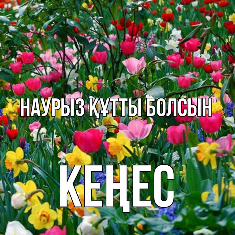 Күн сайын ашық хат с именем, Кеңес Наурыз құтты болсын с наурызом поздравления для женщины Онлайн тегін жүктеп алу тілектері бар керемет карта 