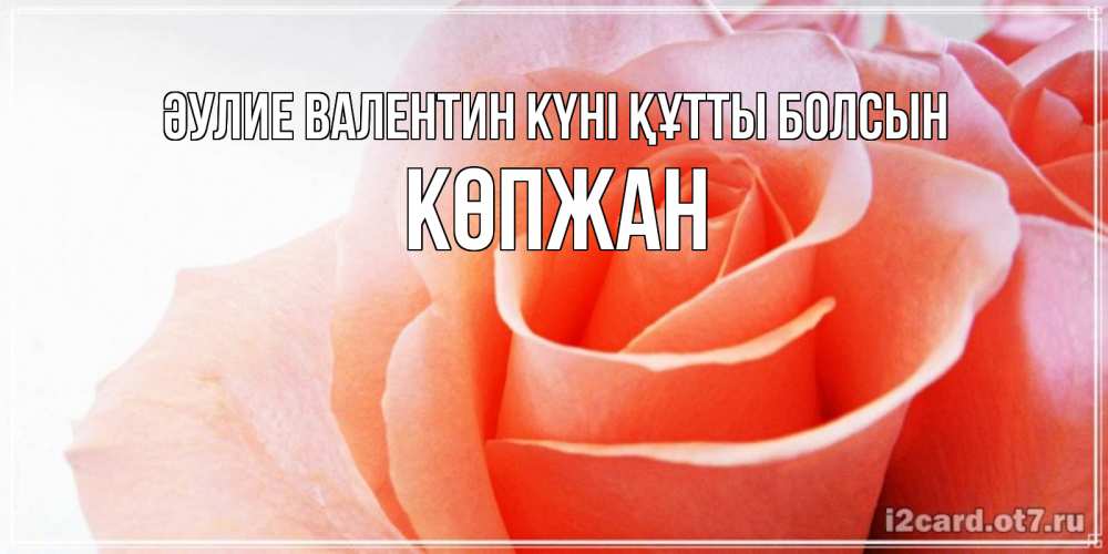 Күн сайын ашық хат с именем, Көпжан Әулие Валентин күні құтты болсын открытка на день Святого Валентина с розовой розой Онлайн тегін жүктеп алу тілектері бар керемет карта 