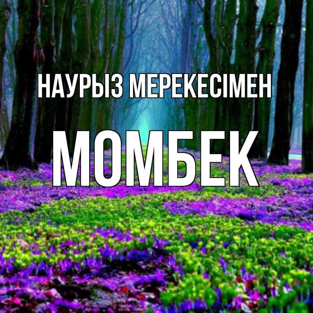 Күн сайын ашық хат с именем, МОМБЕК Наурыз мерекесімен фиолетовые цветы в лесу 1 Онлайн тегін жүктеп алу тілектері бар керемет карта 