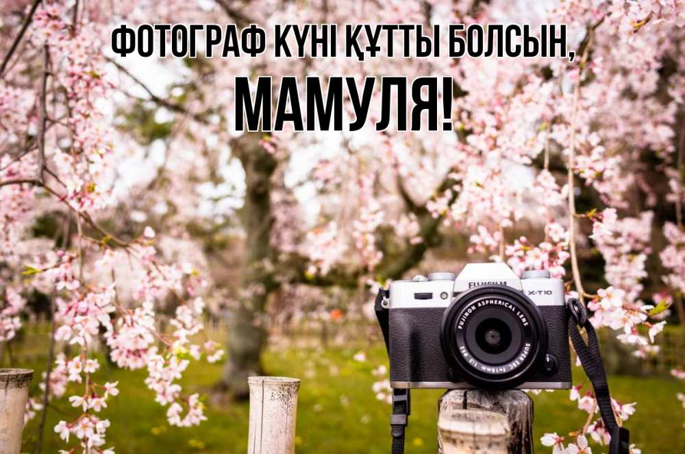 Күн сайын ашық хат с именем, Мамуля Фотограф күні құтты болсын сирень с днем фотографа, фотоаппарат Онлайн тегін жүктеп алу тілектері бар керемет карта 