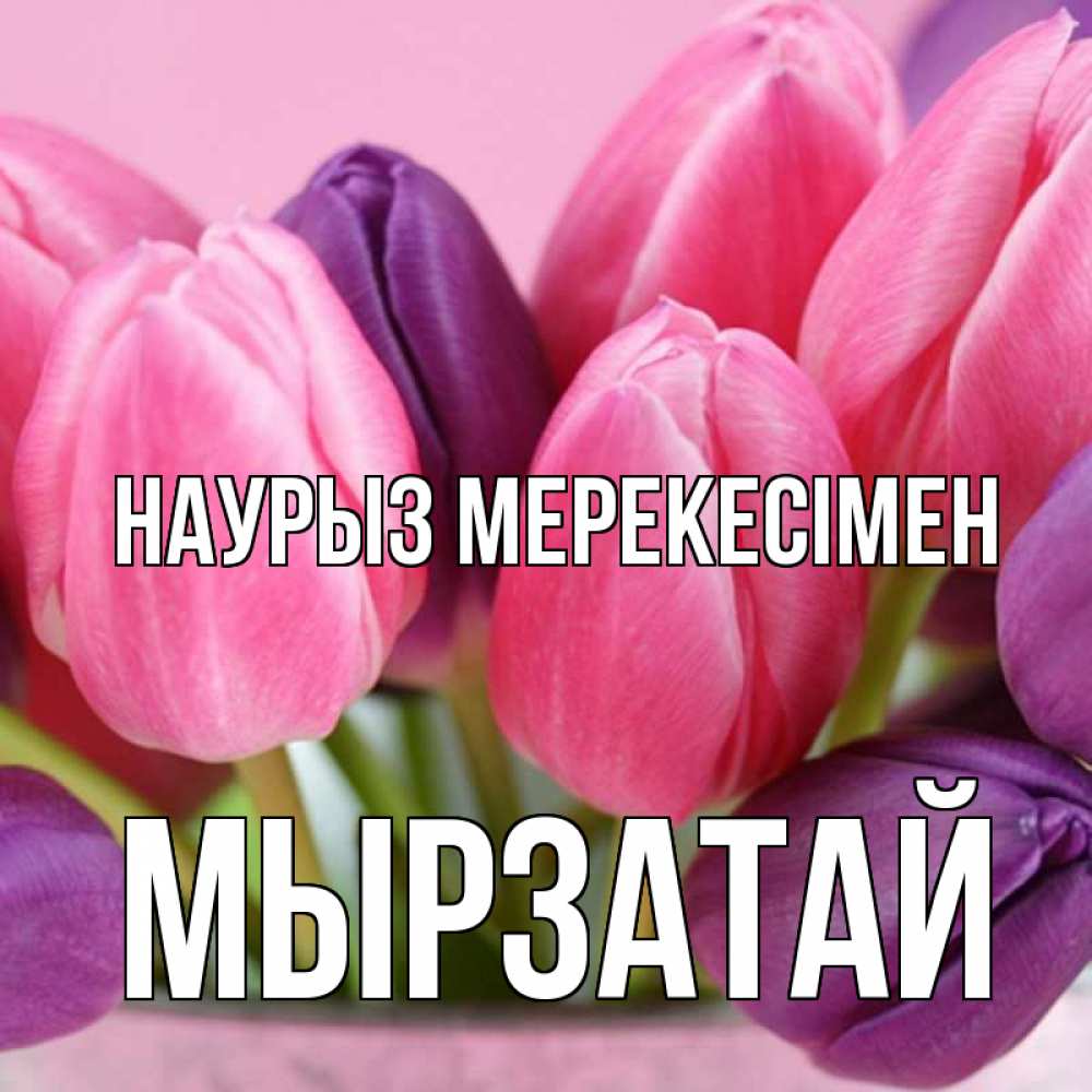 Күн сайын ашық хат с именем, Мырзатай Наурыз мерекесімен маме 1 Онлайн тегін жүктеп алу тілектері бар керемет карта 