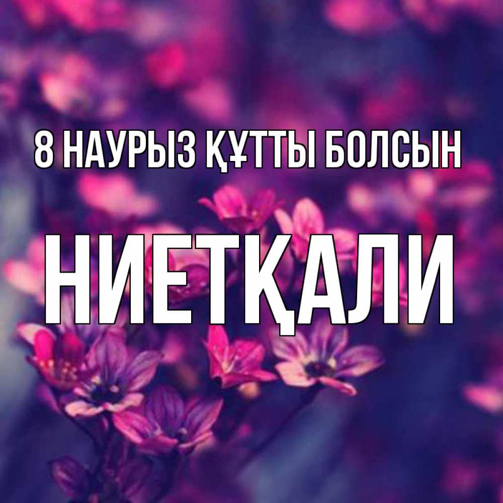 Күн сайын ашық хат с именем, НИЕТҚАЛИ 8 наурыз құтты болсын небольшие цветы 1 Онлайн тегін жүктеп алу тілектері бар керемет карта 