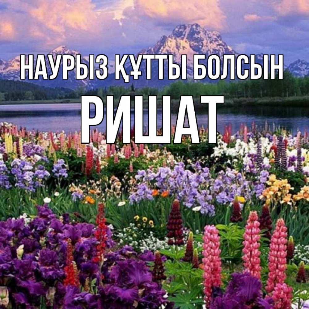 Күн сайын ашық хат с именем, РИШАТ Наурыз құтты болсын наурыз Онлайн тегін жүктеп алу тілектері бар керемет карта 