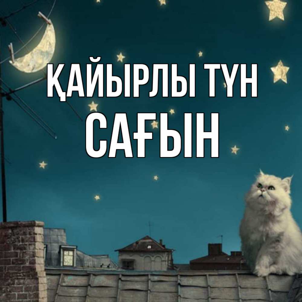 Күн сайын ашық хат с именем, САҒЫН Қайырлы түн белый кот сидит на крыше Онлайн тегін жүктеп алу тілектері бар керемет карта 