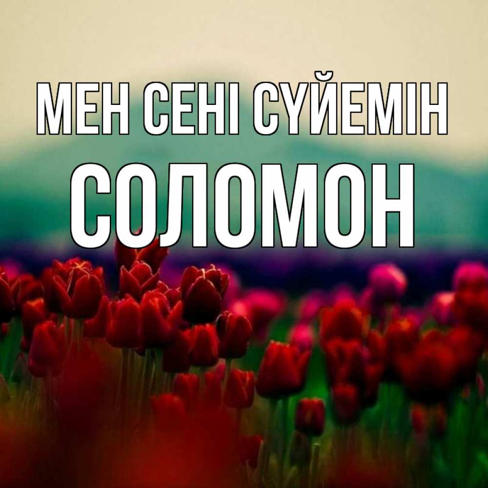 Күн сайын ашық хат с именем, Соломон Мен сені сүйемін тюльпаны 4 Онлайн тегін жүктеп алу тілектері бар керемет карта 