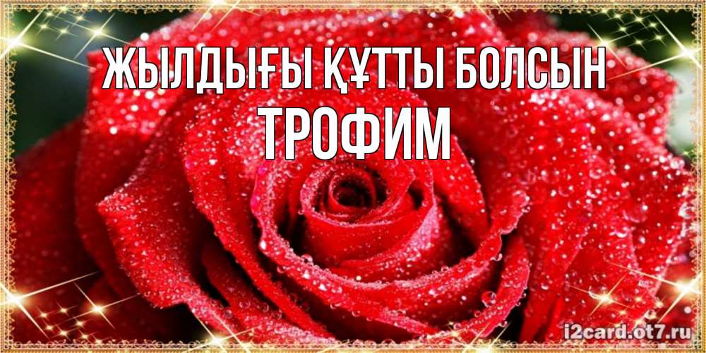 Күн сайын ашық хат с именем, Трофим Жылдығы құтты болсын роса и роза. открытка с красивой розой Онлайн тегін жүктеп алу тілектері бар керемет карта 