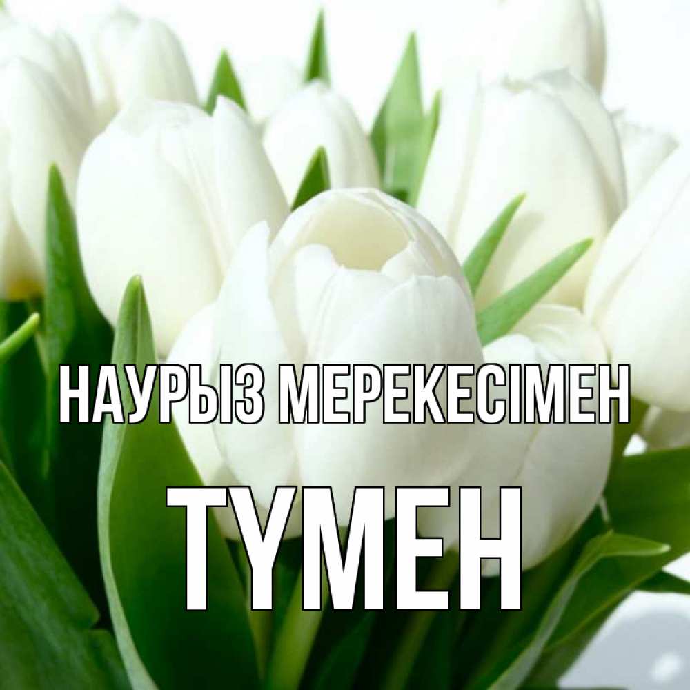 Күн сайын ашық хат с именем, ТҮМЕН Наурыз мерекесімен цветы Онлайн тегін жүктеп алу тілектері бар керемет карта 