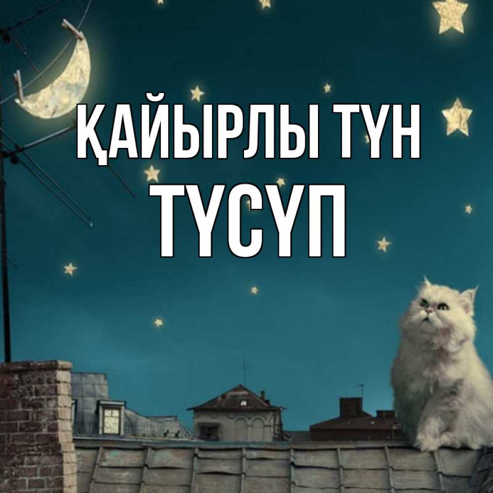Күн сайын ашық хат с именем, ТҮСҮП Қайырлы түн белый кот сидит на крыше Онлайн тегін жүктеп алу тілектері бар керемет карта 