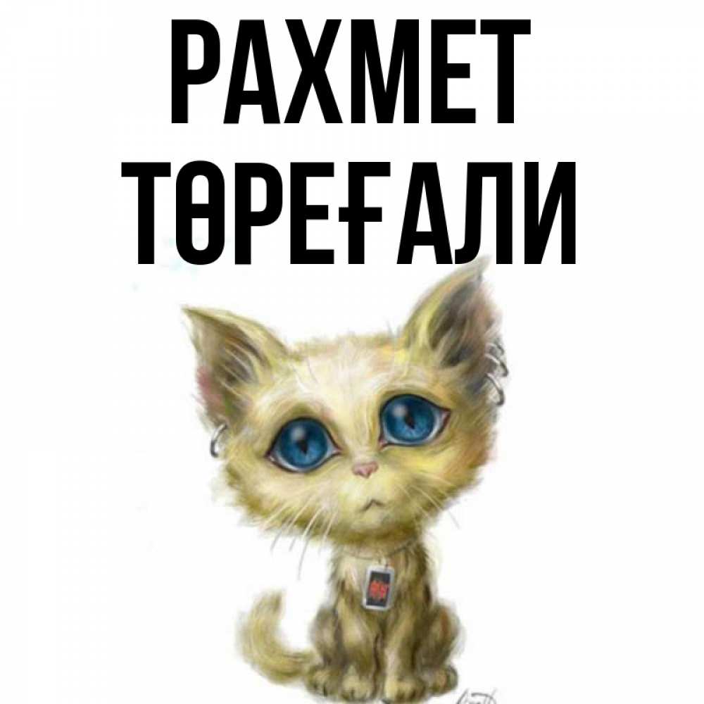 Күн сайын ашық хат с именем, Төреғали рахмет рисованный кот благодарит вас Онлайн тегін жүктеп алу тілектері бар керемет карта 