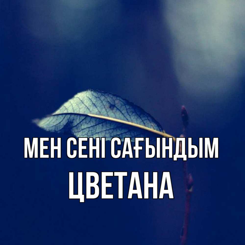 Күн сайын ашық хат с именем, Цветана Мен сені сағындым одна ветка 1 Онлайн тегін жүктеп алу тілектері бар керемет карта 
