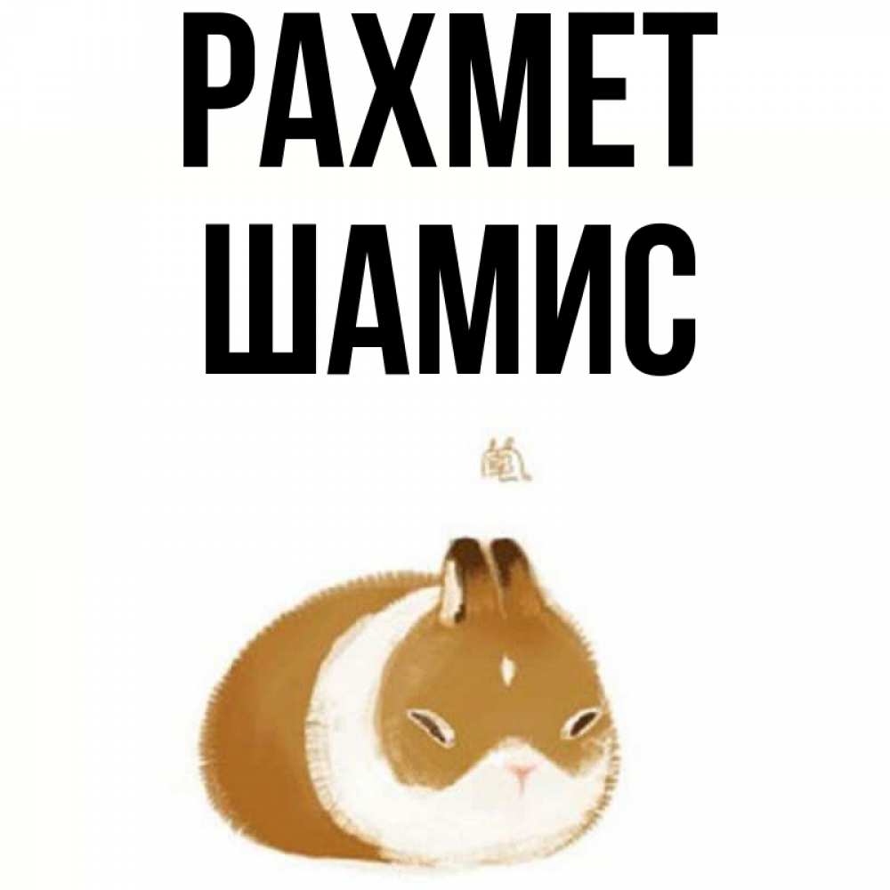 Күн сайын ашық хат с именем, ШАМИС рахмет коричнево белый домашний питомец Онлайн тегін жүктеп алу тілектері бар керемет карта 
